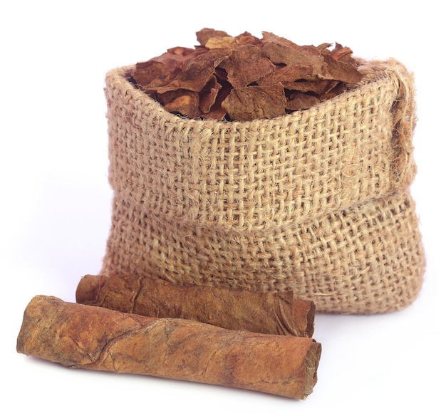 Dry tobacco leaves in sack over white background