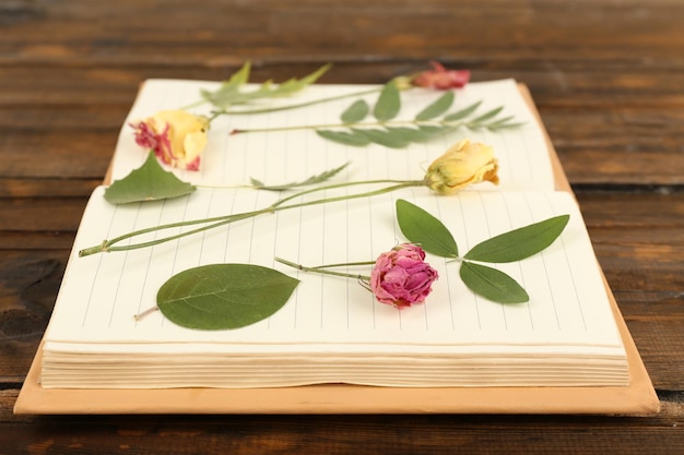 Dry up plants on notebook on wooden background