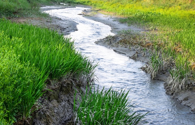 Канал с сухой водой в деревне рядом с лугом