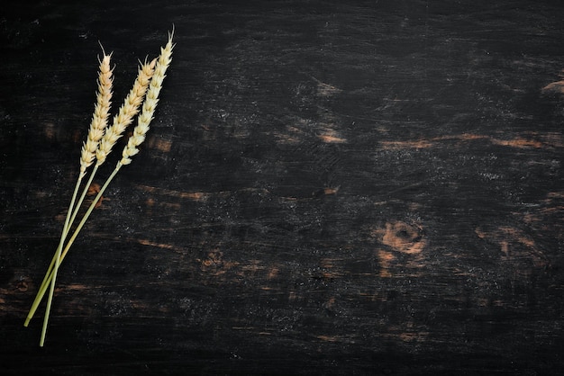 Dry wheat Top view On a black wooden background Free copy space