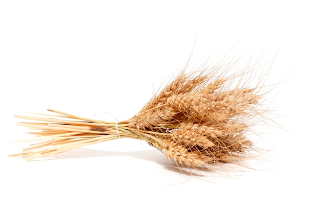 Dry wheat over white background