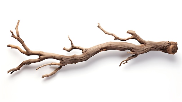 Photo dry wood branch isolated on white background