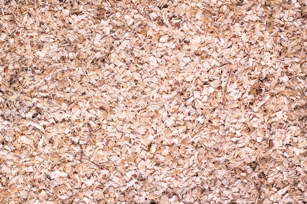 Dry wood shavings background. texture. Top view. Sawdust close up . Wood industry