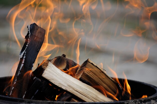 Сухая древесина, которая ярко горит.