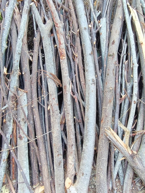 Dry woodpile dried in the sun