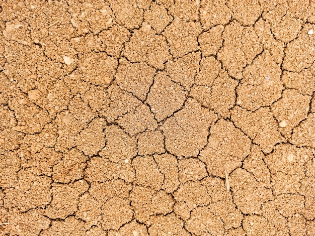 Dry yawning in the cracks, global warming, ecology.