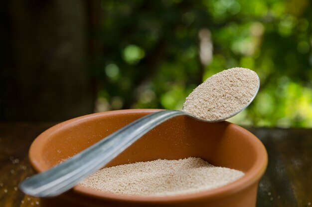 dry yeast in grain in spoon on ceramic cup