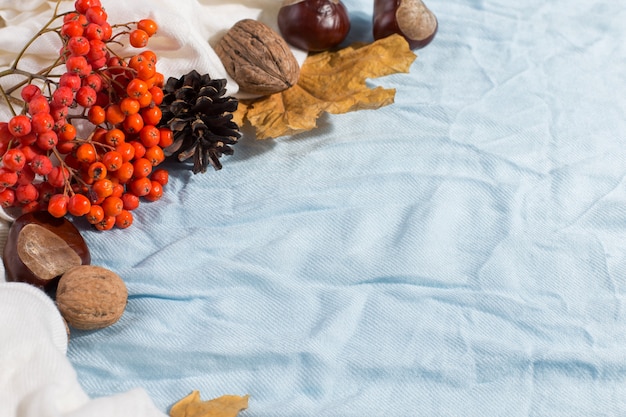 Dry yellow leaves, a scarf, chestnuts and cones on the table. Autumn mood, copyspace, morning light.