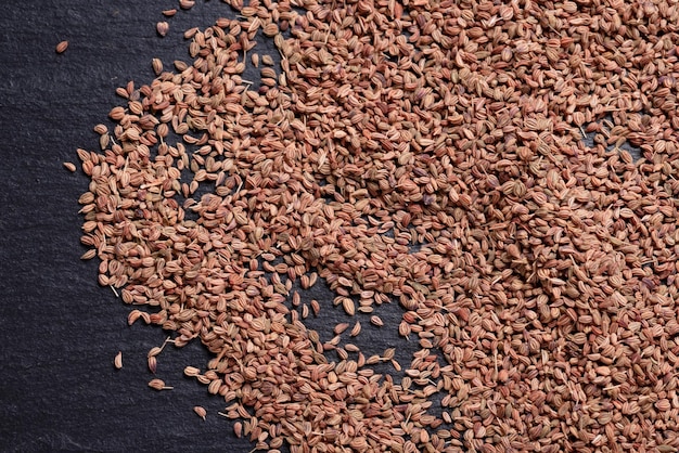 Semi essiccati di ajwain per la cucina asiatica e indiana