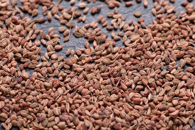 Dryed Ajwain seed for Asian and Indian cooking