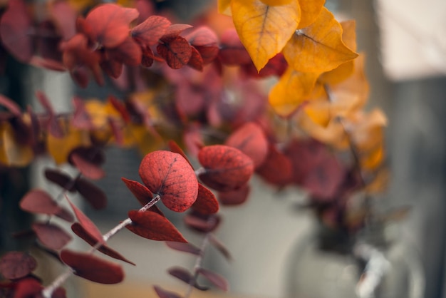 窓口の花屋で乾燥した花を売る