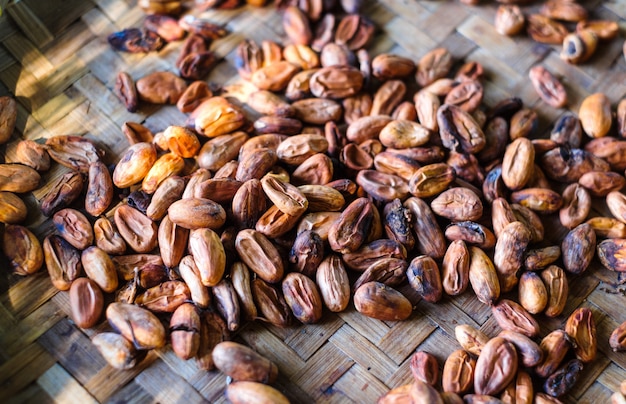 Drying of cocoa beans after the harvest. Raw cacao beans.