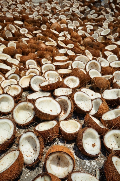 Drying coconuts Kerala South India