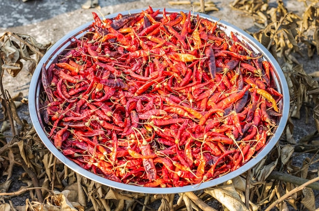 마을의 태양 아래 맛있는 붉은 고추 한 접시를 말리기