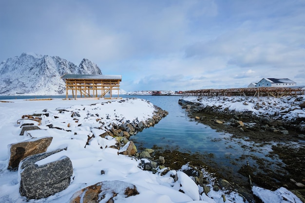 Photo drying flakes for stockfish cod fish in winter lofoten islands norway