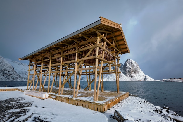 Drying flakes for stockfish cod fish in winter. Lofoten islands,
