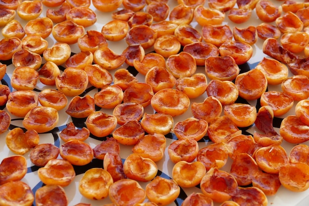 Photo drying fruit drying apricots drying apricots in the sun