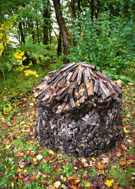 Drying and storage of firewood in the form of a house or a stack Preparation of firewood