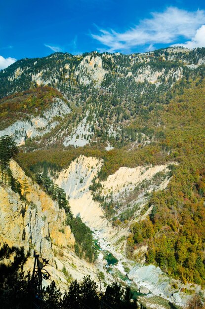 秋の森に逆らって峡谷の奥深くを流れる青い川の干上がり自然と荒野