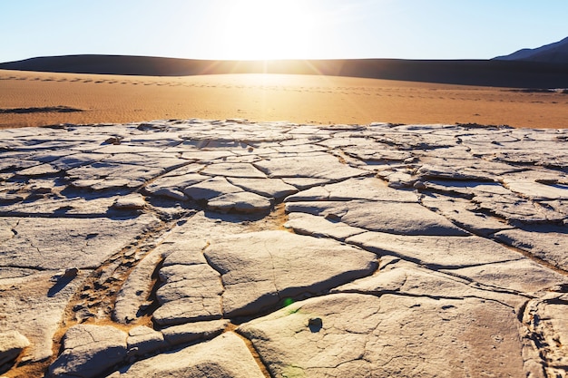 Terre aride nel deserto