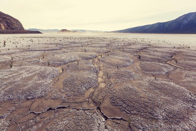 Terre aride nel deserto