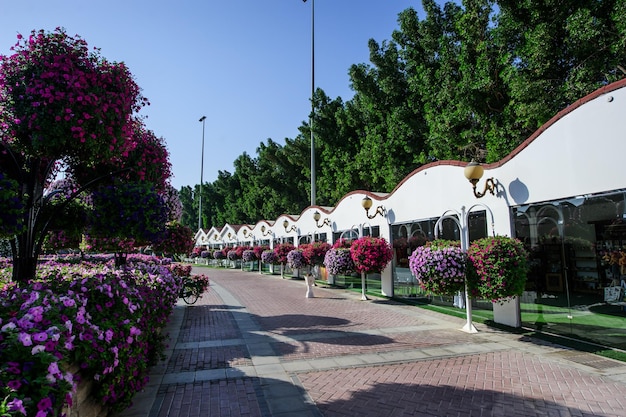 DUBAI UAE  MARCH 28 Dubai Miracle Garden in the UAE on Febryary 16 2022 It has over 45 million flowers