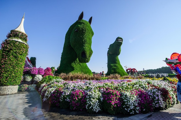 ドバイアラブ首長国連邦3月28日アラブ首長国連邦のドバイ奇跡の庭園2022年2月16日4500万以上の花が咲く