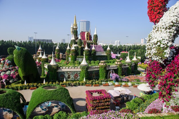 DUBAI UAE MARCH 28 Dubai Miracle Garden in the UAE on Febryary 16 2022 It has over 45 million flowers