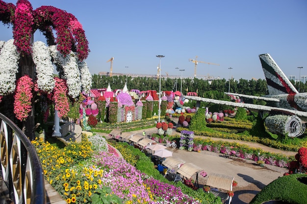 두바이 UAE 3월 28일 2022년 2월 16일 UAE의 두바이 기적의 정원 4,500만 개가 넘는 꽃이 있습니다