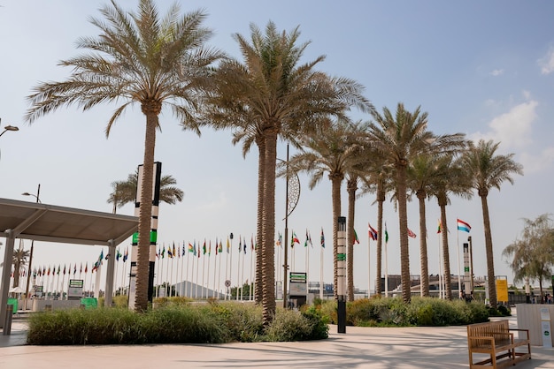 ドバイアラブ首長国連邦2021年11月6日EXPO2020ドバイでの参加国の旗