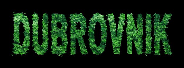 Dubrovnik lettering Dubrovnik Forest Ecology Concept