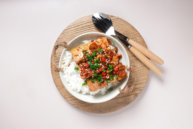 Dubu jorim è un tofu brasato coreano, servito con riso. tofu fritto con salsa di soia e peperoncini.