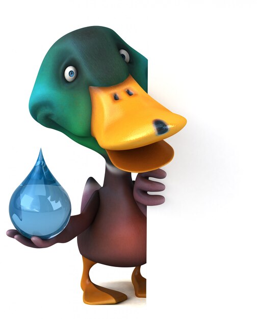 Duck animation