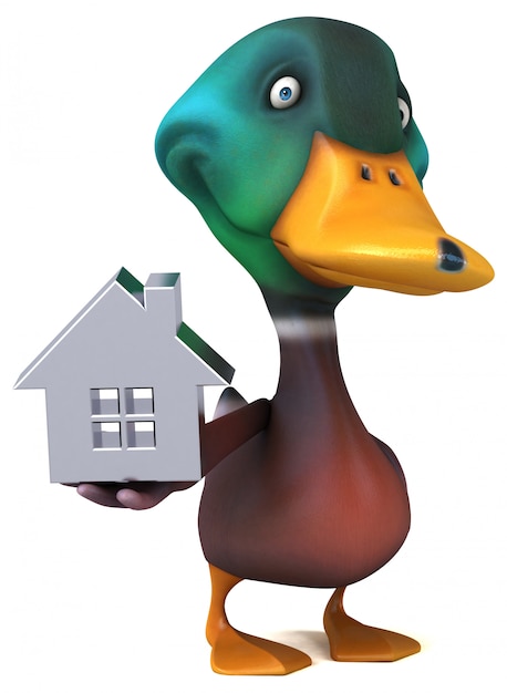 Duck animation