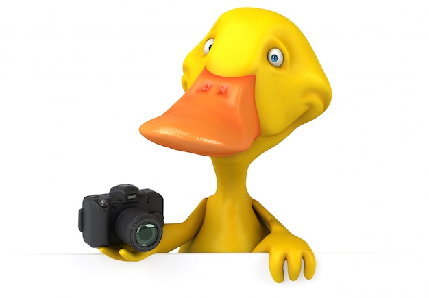 Duck animation