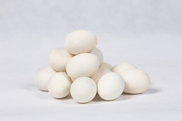 Duck egg on white background