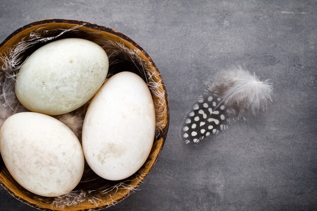 Duck eggs on a cage gray background.