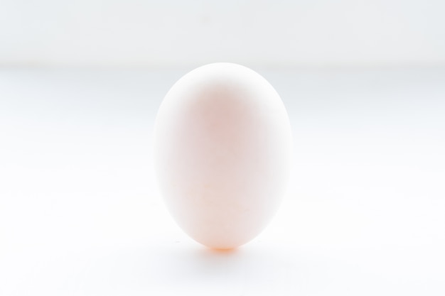 흰색 배경에 오리 계란