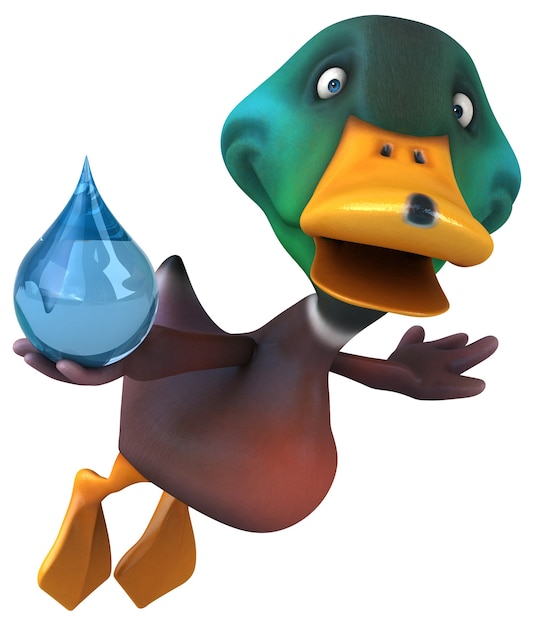 Duck illustration