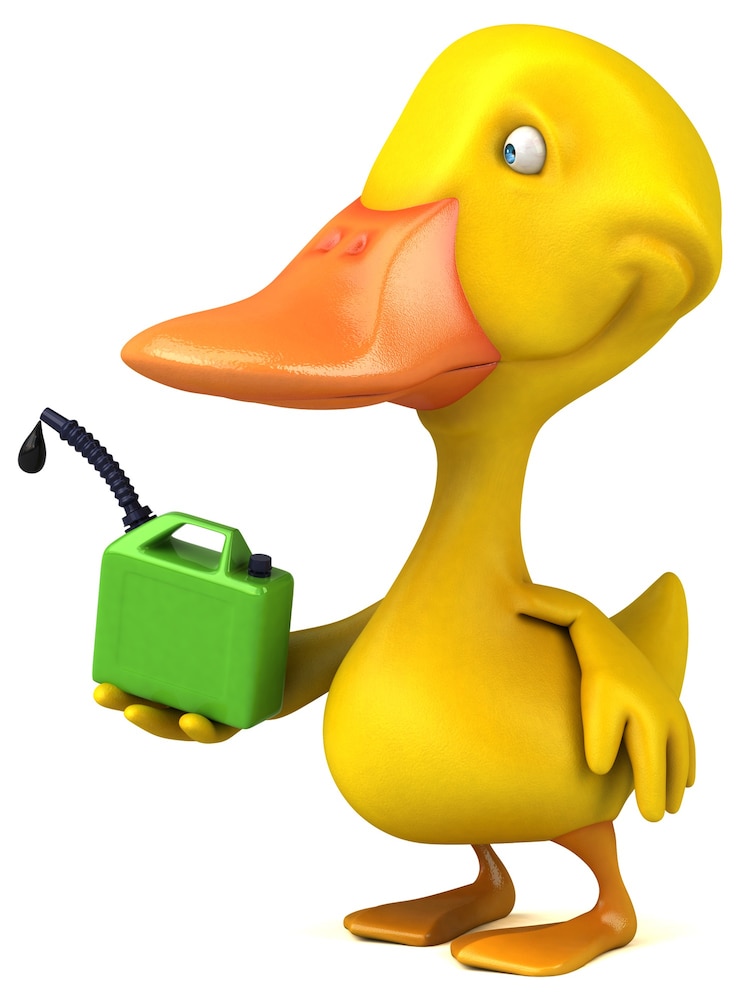 Photo duck