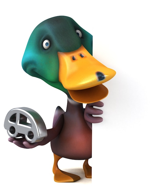 Duck