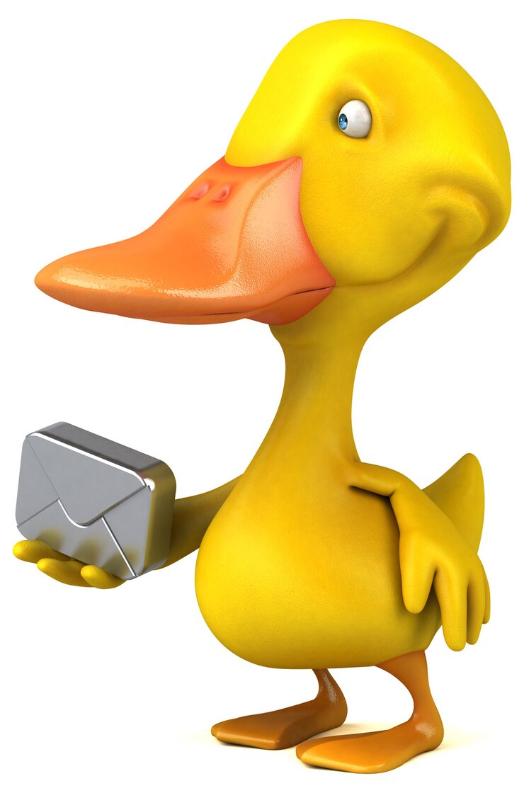 Photo duck