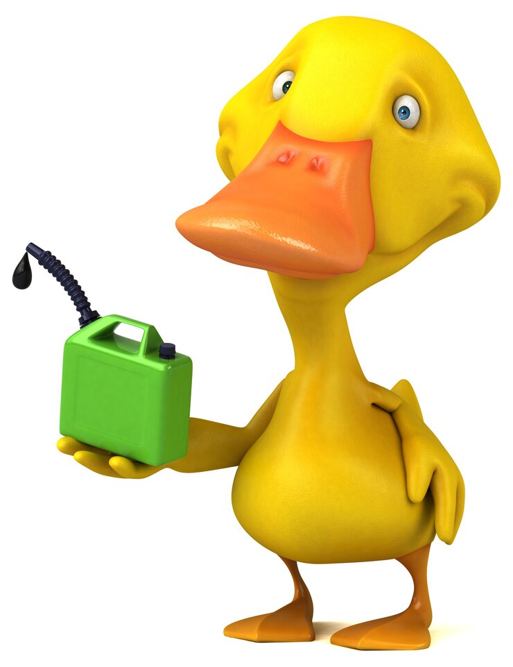 Photo duck