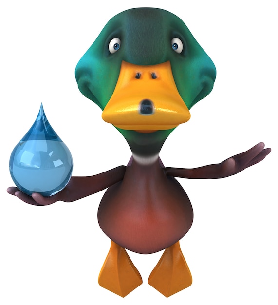 Duck