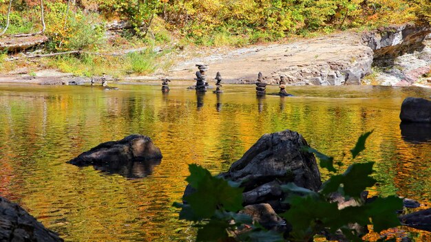 Foto anatre sulla roccia accanto al lago