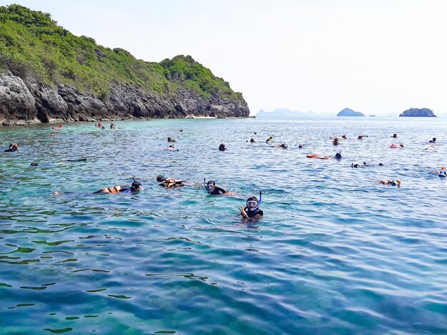 Ducks swimming in sea against clear sky