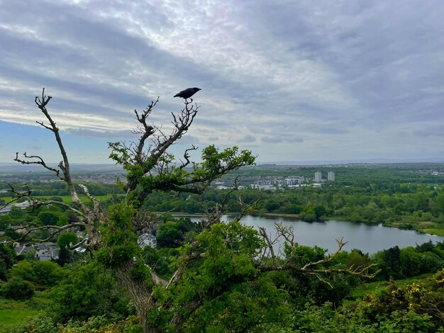 Duddingston Village Edinburgh natuur