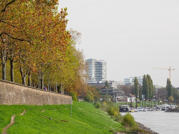 Duesseldorf and the rhine river