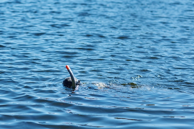 Duiker in nat pak met masker en snorkel onder water in het meer