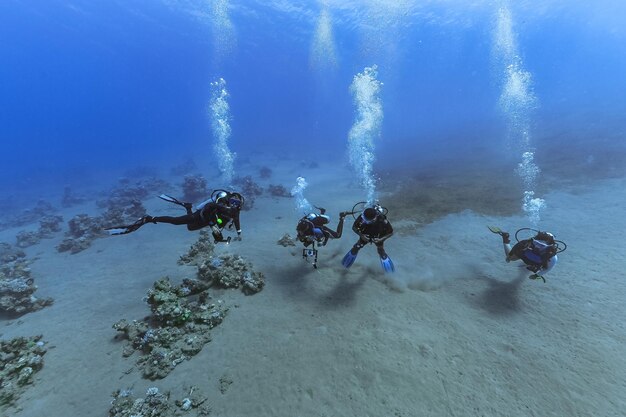 Duikers in de Rode Zee in Dahab Duiken in Egypte